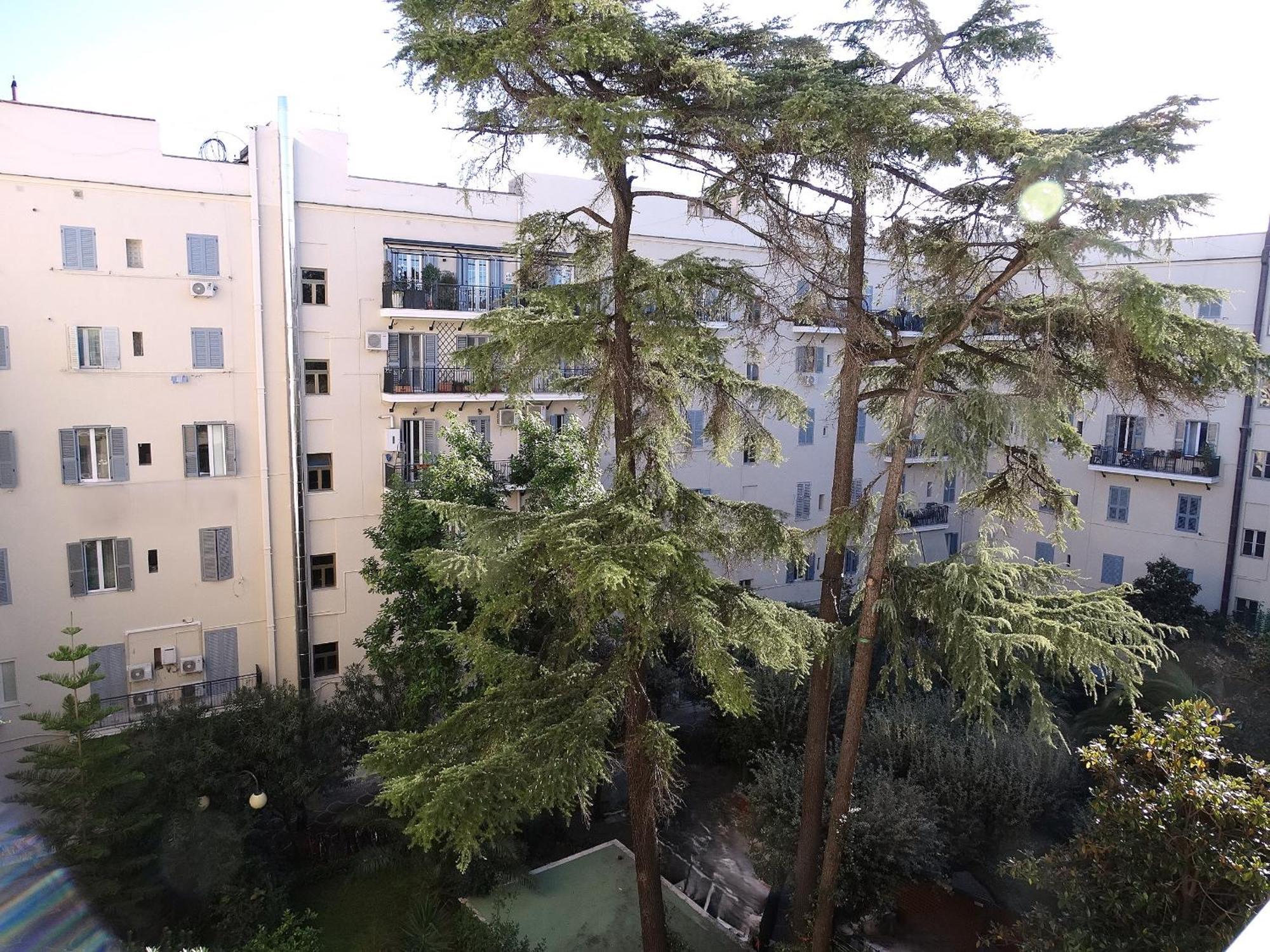 Domus Dino Apartment Rome Exterior photo